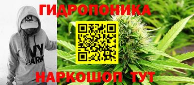 синтетический гашиш Сланцы