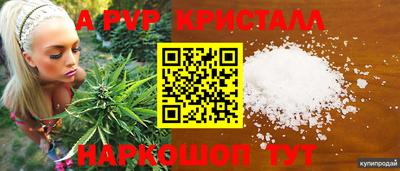 стафф Славянск-на-Кубани